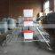 Poultry Cages Hot Dipped Halvanized 20 Years Lifetime Layer Chicken Cages with Auto Water System