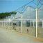 Large Multi-span pig greenhouse , pig house , fiberglass shed