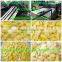 snack extruder machine