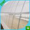 White woven plastic 50*50 mesh insect cover net