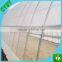 White woven plastic 50*50 mesh insect cover net