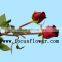 Wholesale love roses flowers fresh flowers black magic rose with 20stems/bundle from yunnan aibaba com