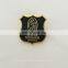 hard enamel lapel pin with custom logo in gold/silver plating made of iron with butterfly clutch backing