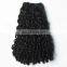 Hot beauty 7A Small Kinky human virgin hair for wholesaler