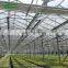 New Design Greenhouse Netting Bed In Plants Nursery In Sri Lanka