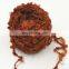 Hand Dyed Teeswater Locks in Peach for Felting and Spinning loop yarn for hand knitting