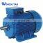 Low Voltage 100 Hp y2 Series Three Phase Induction Ac Electric Motor