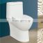 One piece Washdown Or Siphonic Sanitary Ware toilet