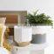 Custom Bonsai Modern Gold indoor outdoor garden ceramic succulent Planter Plant Flower Pot with Drainage Hole for Home decor