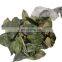 Dried Graviola Leaves /Natural Remedy/Organic Herbal Dried Soursop Leaf For Tea  from Vietnam