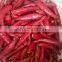 Chinese Hot Pepper Frozen Jinta Variety IQF Chilli