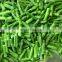 Sinocharm BRC A Approved 2-4CM IQF Green Asparagus Center Cut Frozen Green Asparagus