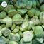 Kiwi Halves Frozen Chinese Kiwi Fruits