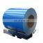 Double Coated Color Painted Metal Roll Paint Galvanized Zinc Coating PPGI PPGL Steel Coil/Sheets In Coils