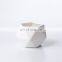 Factory Orchid Clay Pots Small Plant & Planters Groot Decorative Geometrical Shape Flower Pot Used with Flower/green Plant White