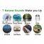Sunrise Bedside lamp Wake Up Light Alarm Clock Christmas Gifts Amazon Choice Baby Sleep Trainer Kids
