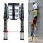 Single Telescopic Ladder with Anti-slip Cushion