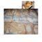 Customized pocket bread production line pocket bread processing plant pocket bread processing line
