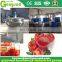 Tomato canning equipment