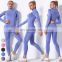 2 Piece Suit Wholesale Activewear Workout Wear Long Sleeve Tshirt Leggings Gym Fitness Sets Seamless Yoga Set For Women