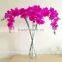 Simulation butterfly orchid pu feel butterfly orchid flowers Single flowers wholesale The sitting room decoration decoration flo