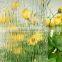 3-4mm clear patterned glass
