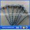 high quality common steel nailsand steel wire nail