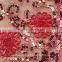 Special red fancy embroideried lace fabric design for garment and home Textile