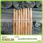 factory direct sell low price varnished wooden broom handle