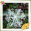 HOT SALE 2014 wholesale christmas decorations