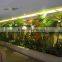 Corridor Landscaping Artificial Tree Fissidens Sunflower