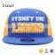 Designer Cheap 6 Panel Acrylic Snap Back Caps