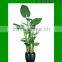 Artificial Taro/Dieffenbachia/small trees used for home or office decoration