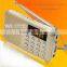 Beautiful compact digital fm radio with speaker with tf card