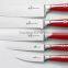 AH12 6pcs ABS handle Good quality stainless steel kitchen knife set
