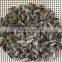 Roasted Salted Sunflower seeds 5009 for sale