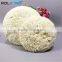 7'' Natural 100% Wool 1'' Pile Double Sided Buffing And Polishing Pad Bonnet