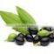 LAUREL BERRY OIL 100 % PURE & NATURAL LAUREL SEED OIL