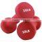 Vinyl Dumbbell