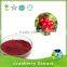 100% natural extracts 5% anthocyanidins cranberry extract