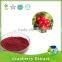 proanthocyanidins 25% nature pure cranberry extract powder