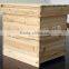 Beekeeping equipment beehive