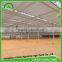 Venlo Greenhouse PC Sheet glass covering hot sale greenhouse