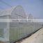 vegetable greenhouse polycarbonate sheet fim