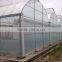 Hot-Dip Galvanized Steel Pipe Frame And 150mm PE Film Covered Multi-Span Greenhouse For Vegetables