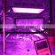 LED Grow Light 300W Full Spectrum Plant Grow Lamp for Indoor Greenhouse Garden Plants Veg and Flowering