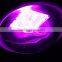 COB LED Grow light full spectrum plant light for hydroponic indoor plant Veg & Bloom black
