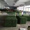 china wholesale boxwood hedge 2017 hot sale plastic and topiary boxwood hedge