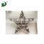 Natural Christmas Willow Star