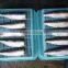 frozen Sardine HGT with competitive price China origin